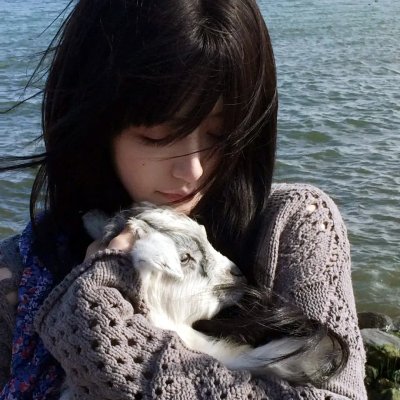 爱犬人士